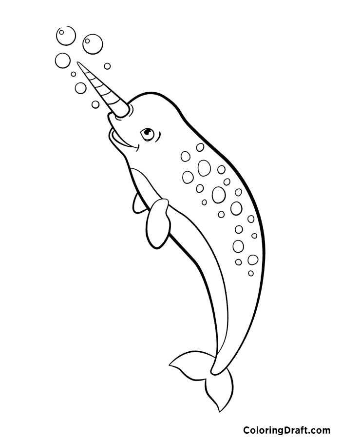 Narwhal 
