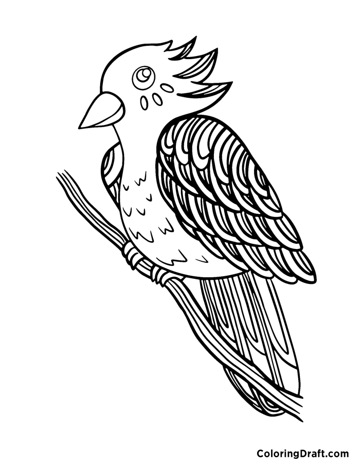 Tropical Bird 
