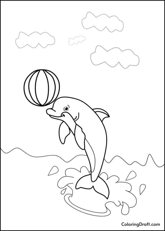 Dolphin With A Ball Design