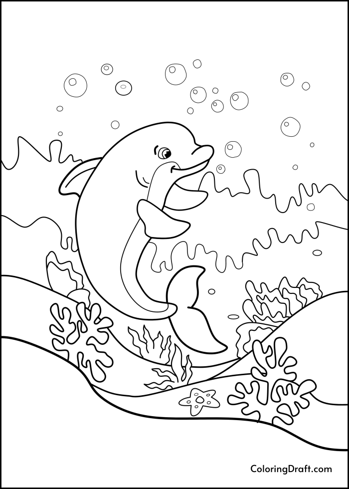 Dolphin In Coral Reef Design