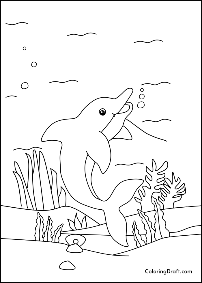 Dolphin In Coral Reef Design