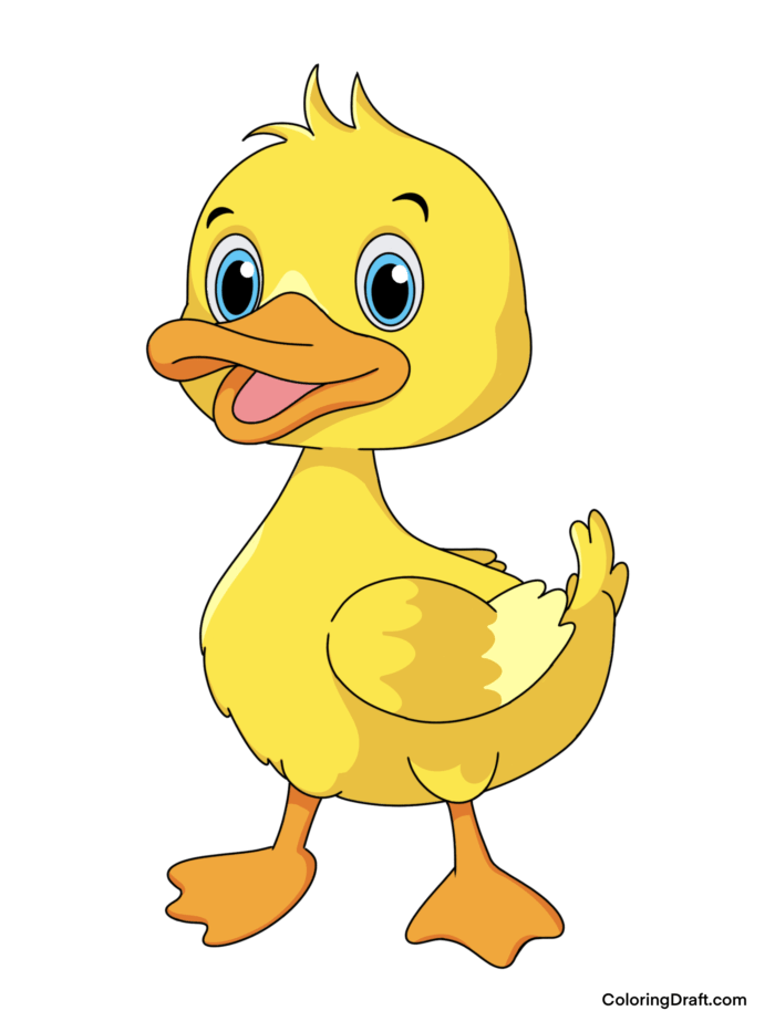 Duck Coloring Pages Sample Duck Coloring Pages Sample