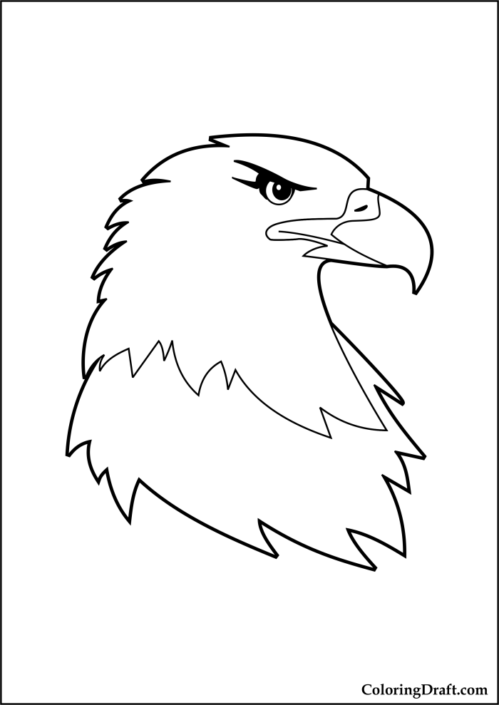 Eagle Head Coloring Pages Eagle Head Coloring Pages