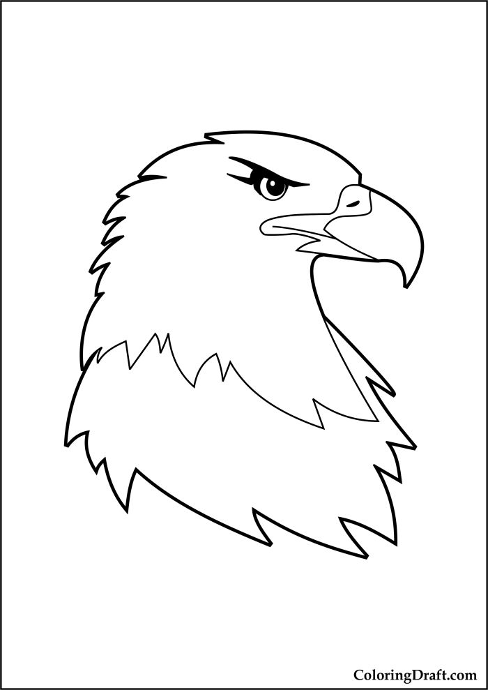 Eagle Head Coloring Pages