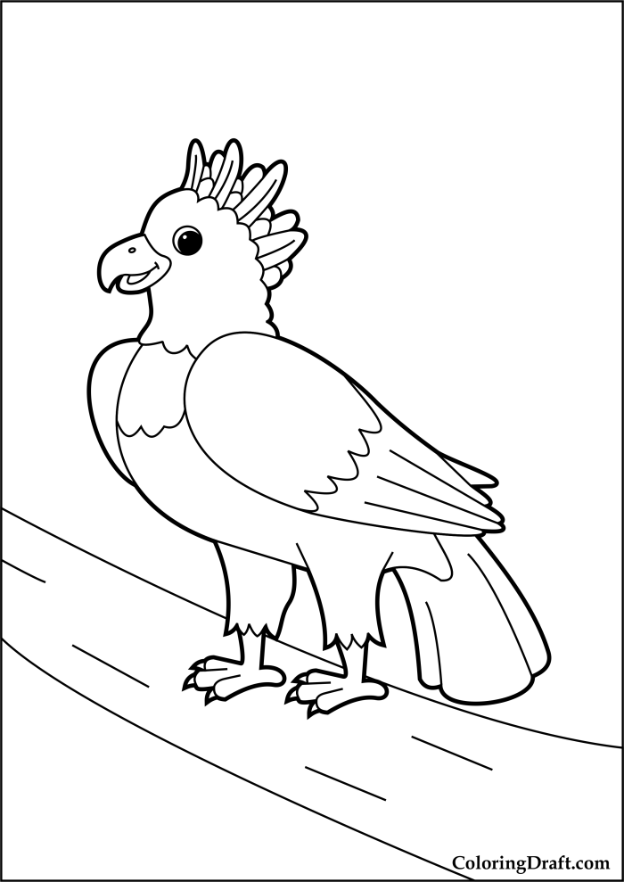 Harpy Eagle Coloring Pages