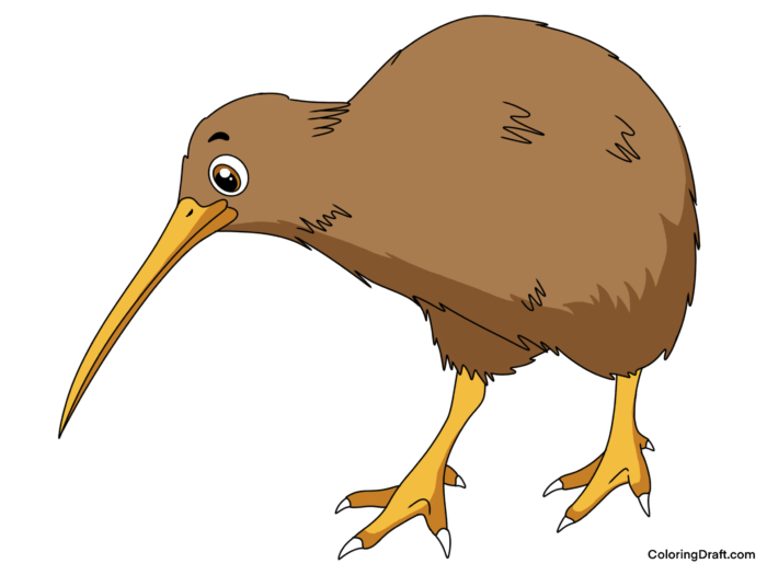 Kiwi Coloring Pages Sample