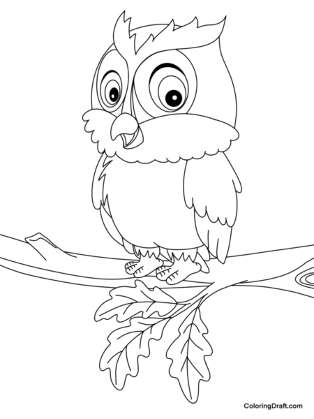 Owl 