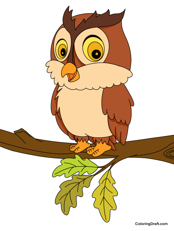 Owl Coloring Pages Sample