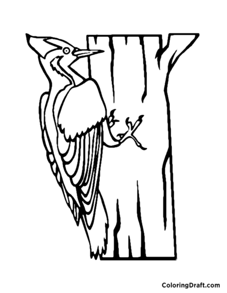 Woodpecker 