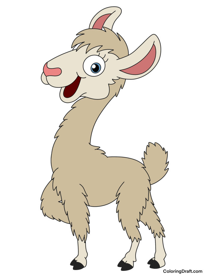 Alpaca Coloring Pages Sample 