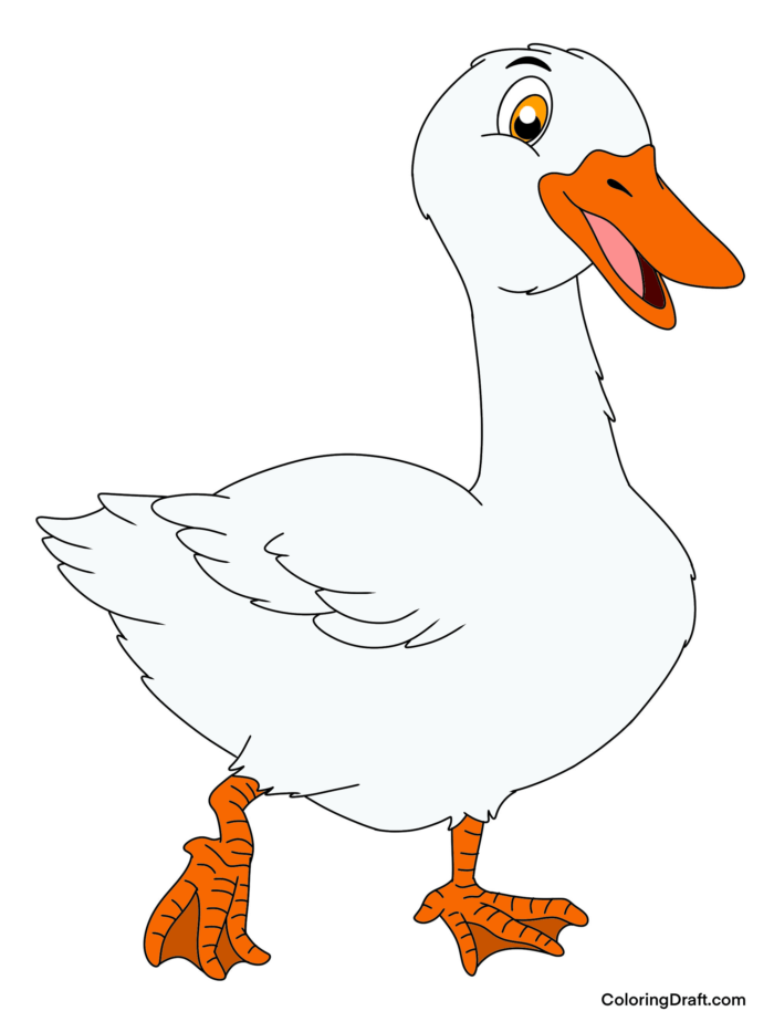 Duck Coloring Pages Sample