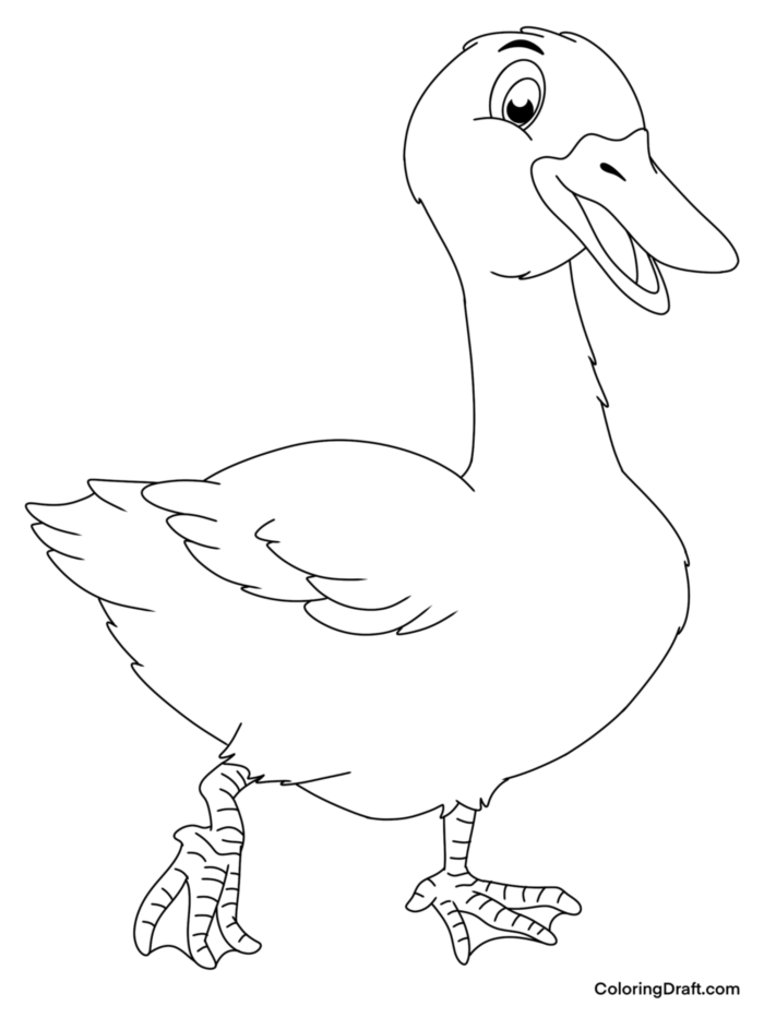 Duck Coloring Pages