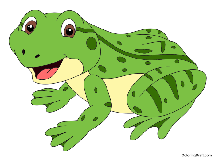 Frog Coloring Pages Sample