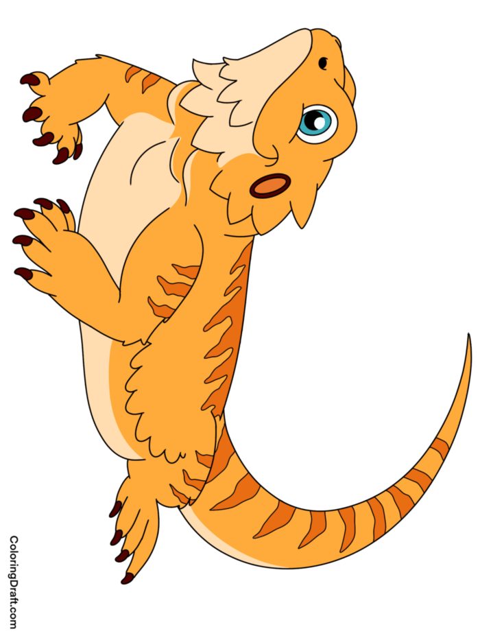 Lizard Coloring Pages Sample