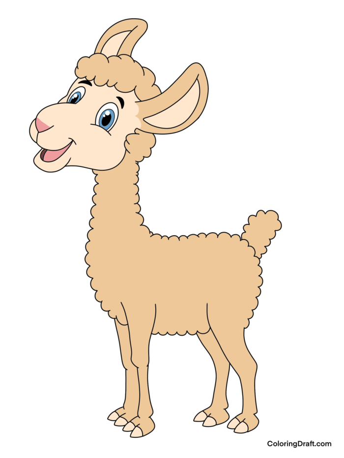 Llama Coloring Pages Sample