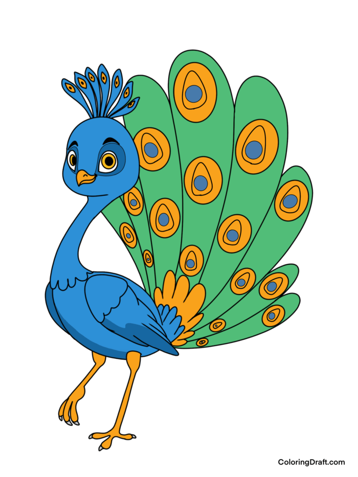 Peacock Coloring Pages Sample
