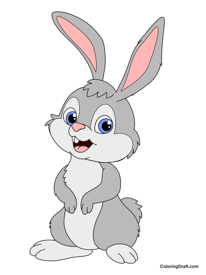 Rabbit Coloring Pages Sample