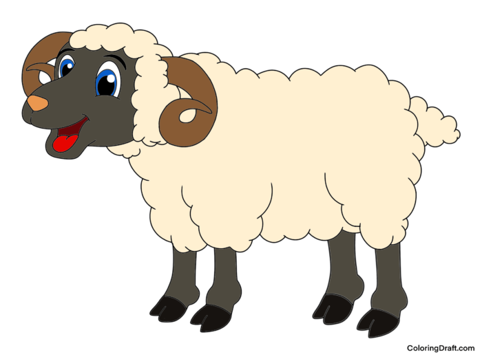 Sheep Coloring Pages Sample