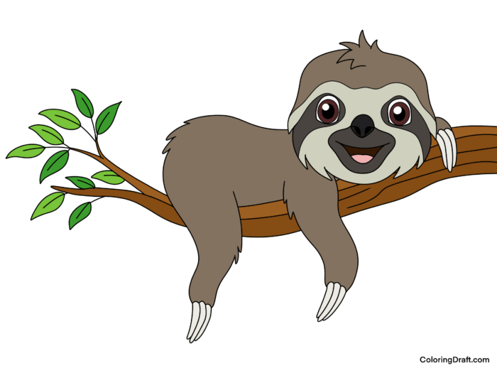 Sloth Coloring Pages