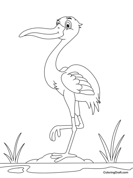 Stork 