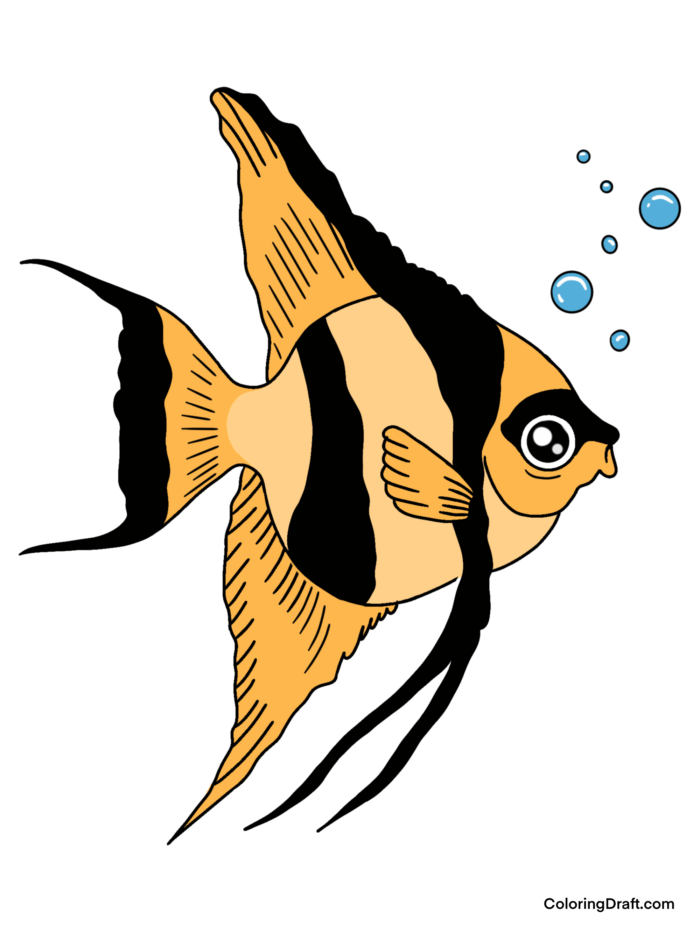 Angelfish Coloring Pages Sample