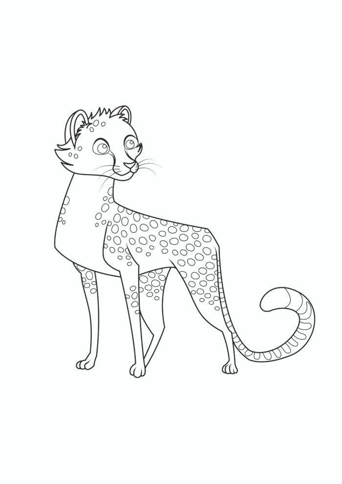 Cheetah Coloring Pages