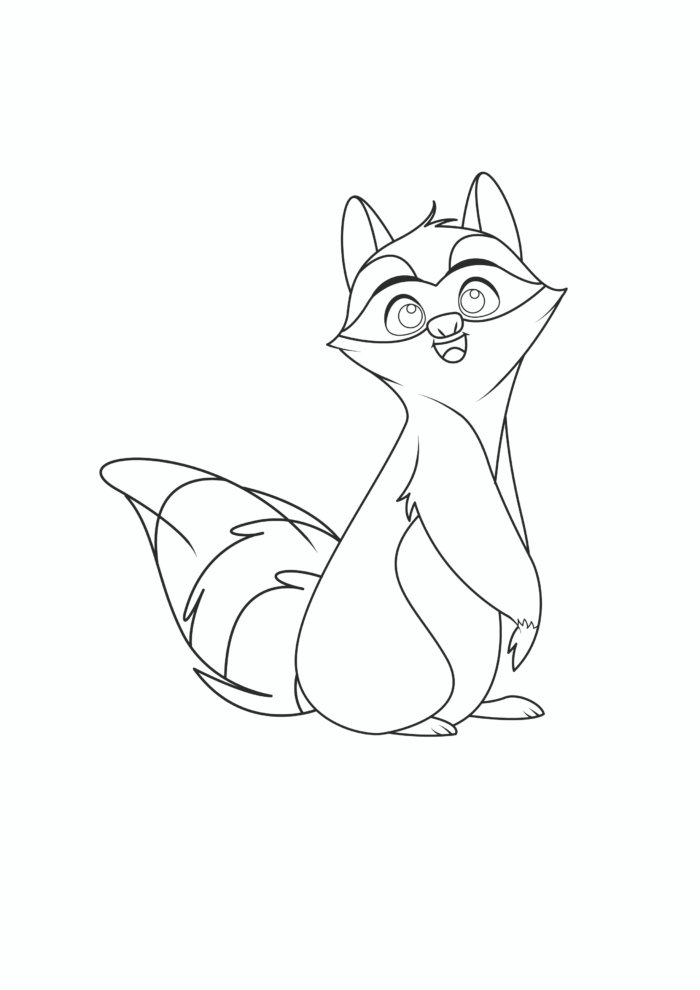 Raccoon Coloring Pages Raccoon Coloring Pages