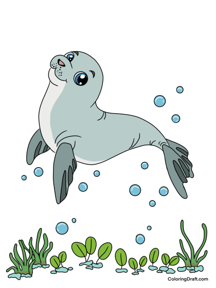Seal Coloring Pages Sample
