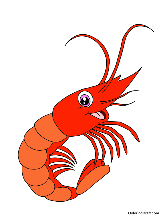 Shrimp Coloring Pages Sample