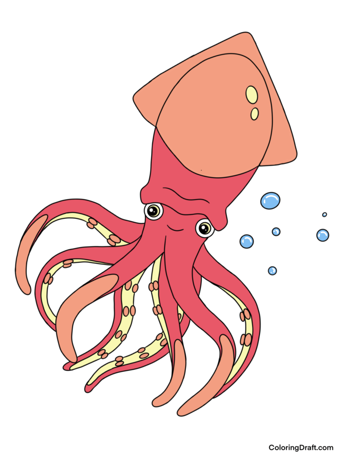 Squid Coloring Pages Sample