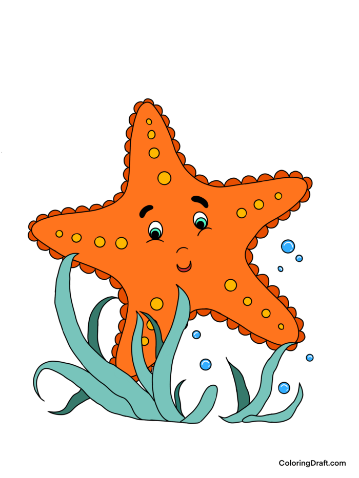 Starfish Coloring Pages Sample