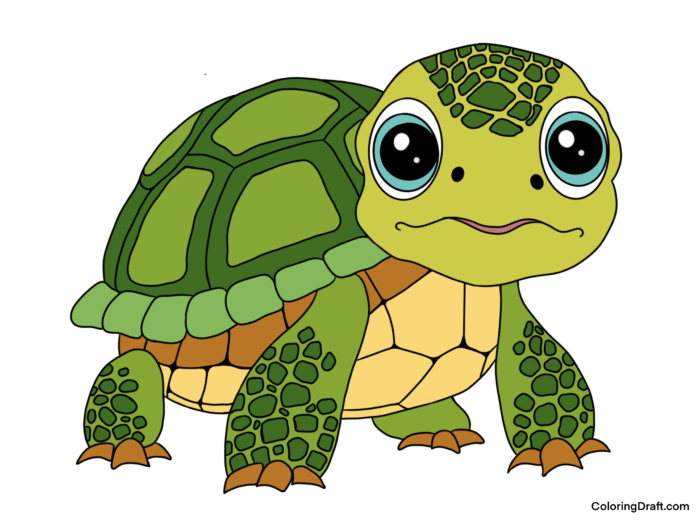 Turtle Coloring Pages Sample