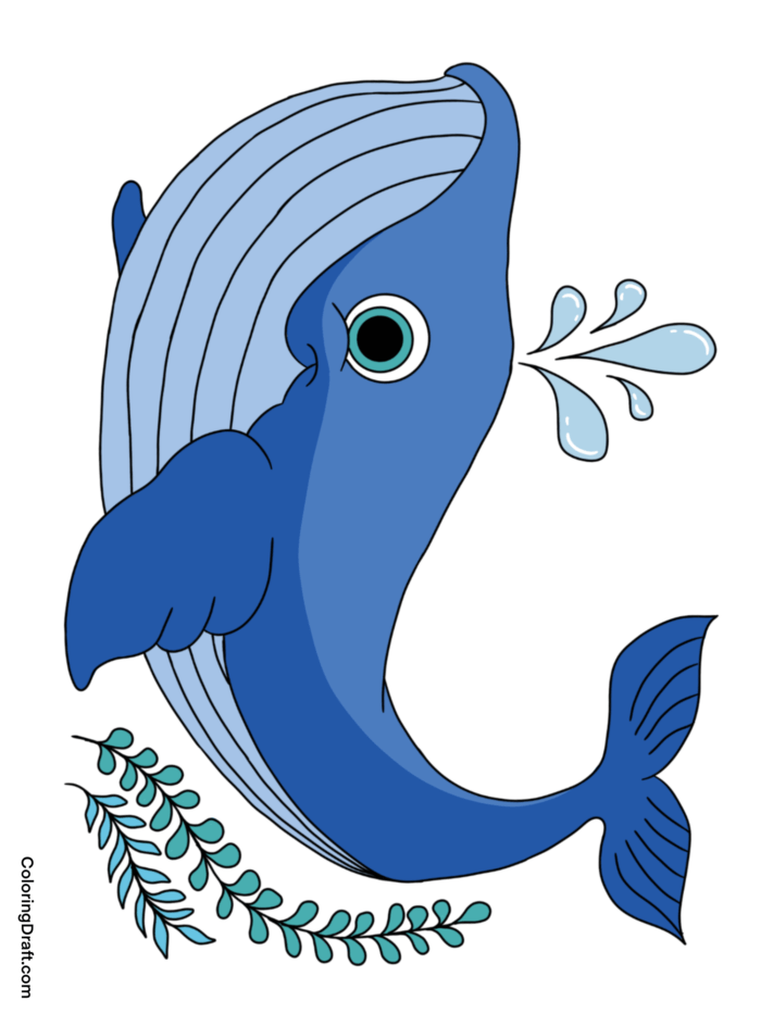 Whale Coloring Pages Sample