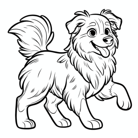 Australian Shepherd 