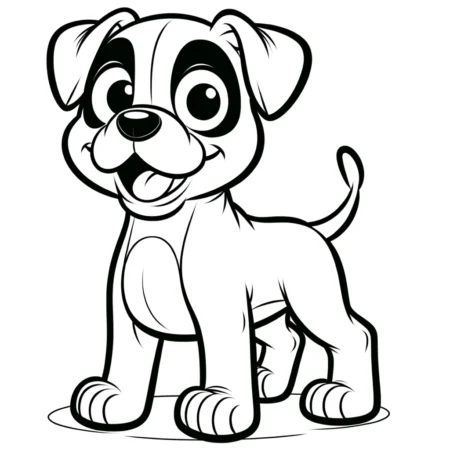 Boxer 