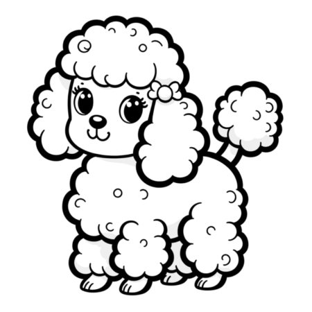 Poodle 