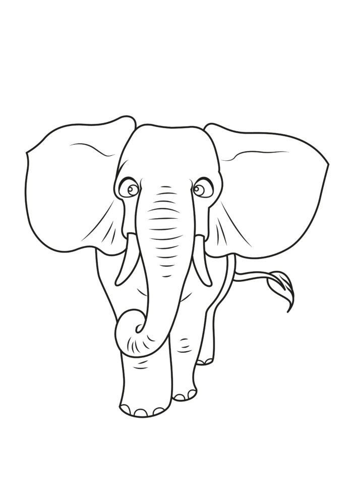 African Elephant Coloring Pages
