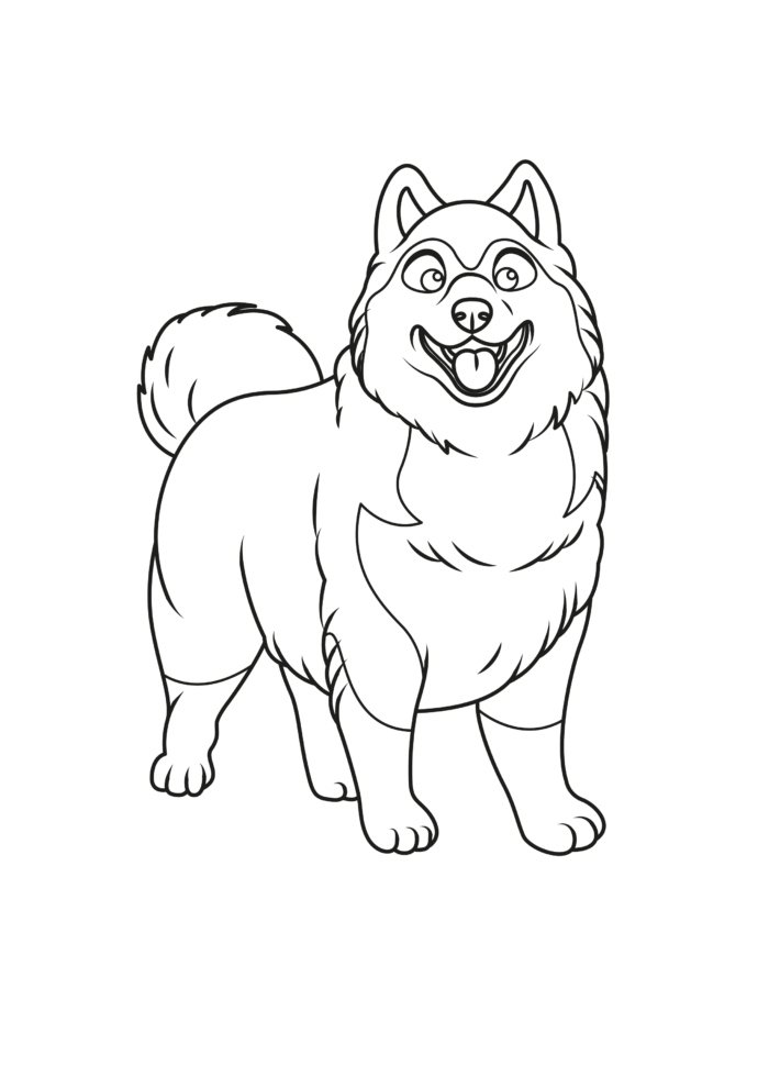 Akita Coloring Pages Akita Coloring Pages