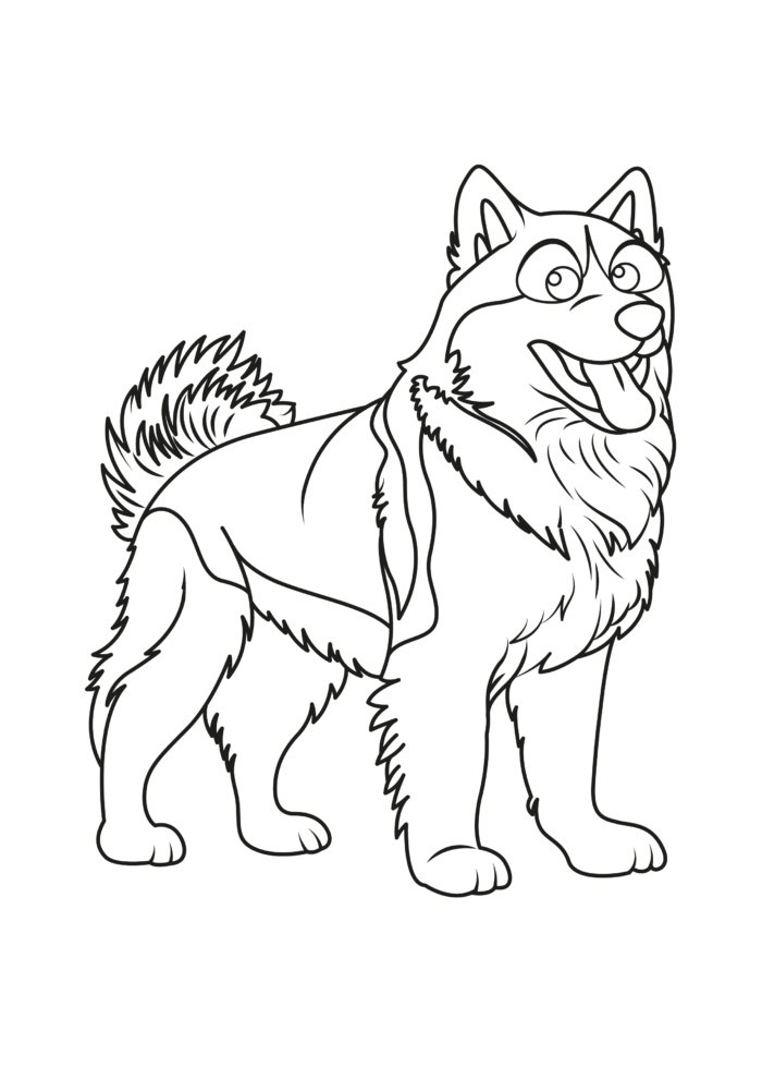 Alaskan Malamute Coloring Pages Alaskan Malamute Coloring Pages