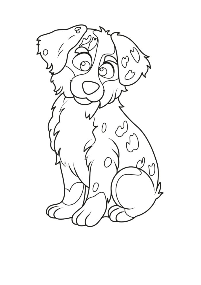 Australian Shepherd Coloring Pages
