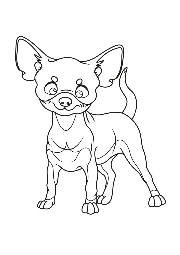 Chihuahua Coloring Pages Chihuahua Coloring Pages