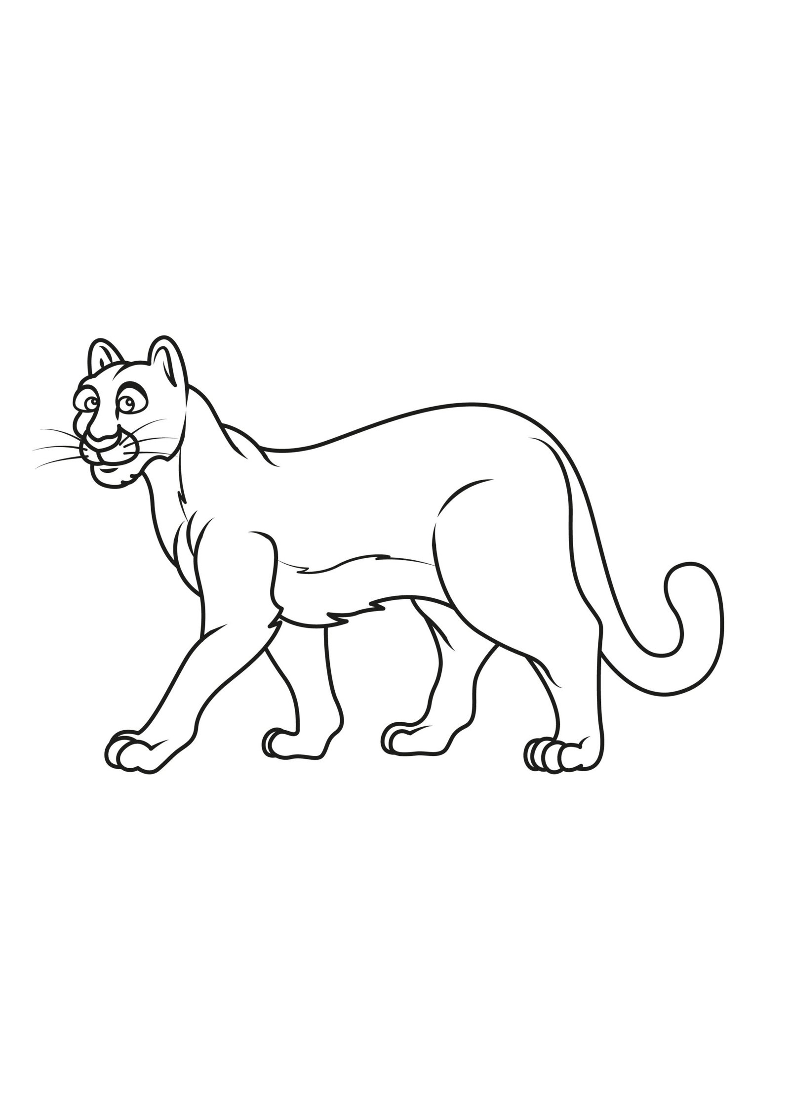 Cougar Coloring Pages Cougar Coloring Pages