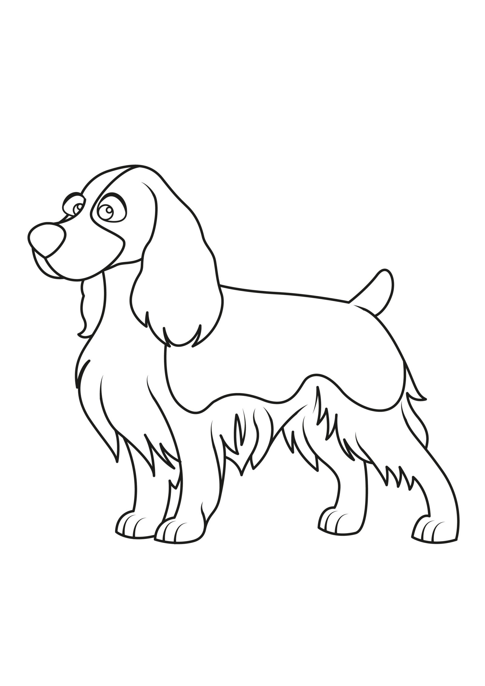 English Springer Spaniel Coloring Pages English Springer Spaniel Coloring Pages