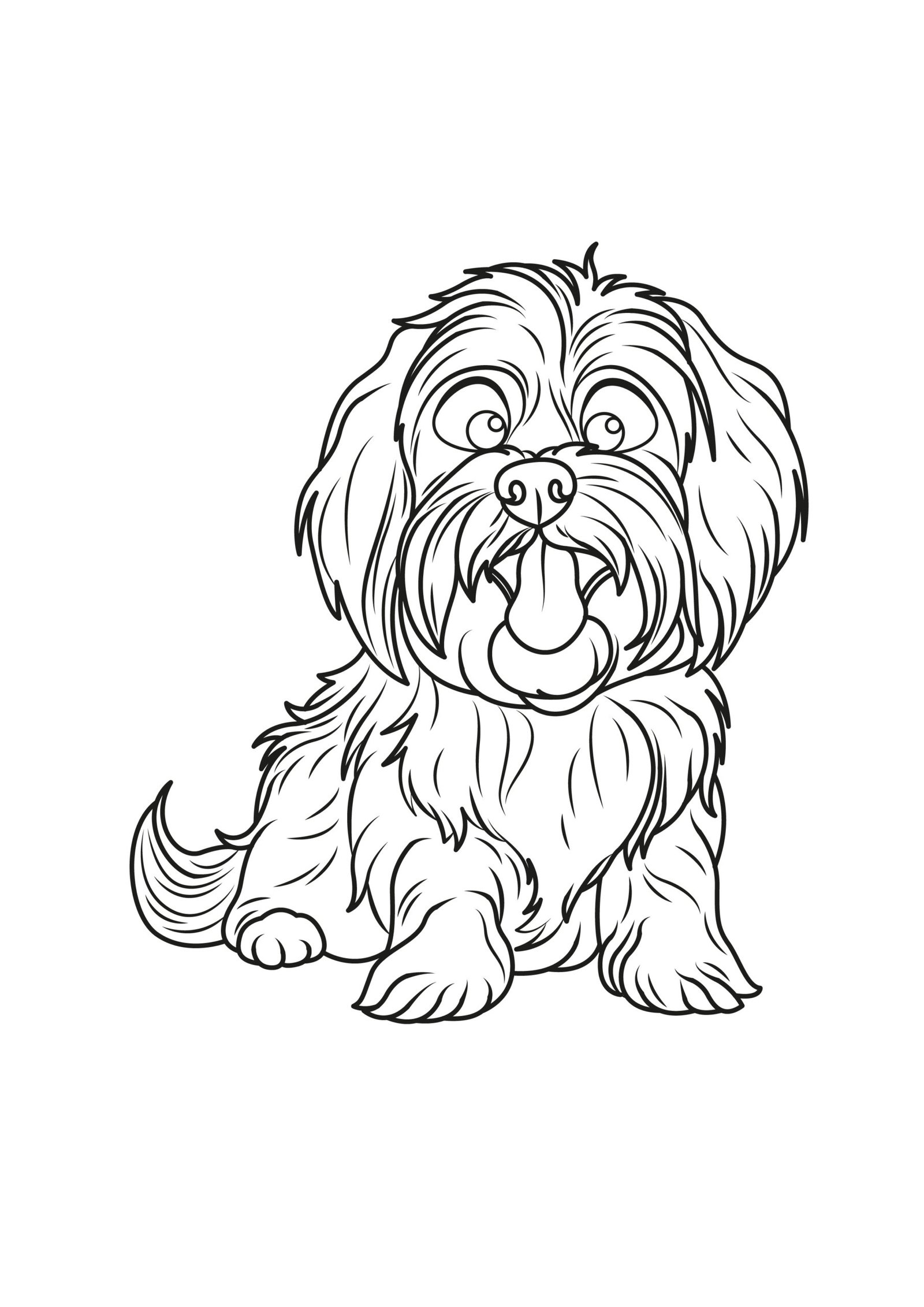 Havanese Coloring Pages Havanese Coloring Pages