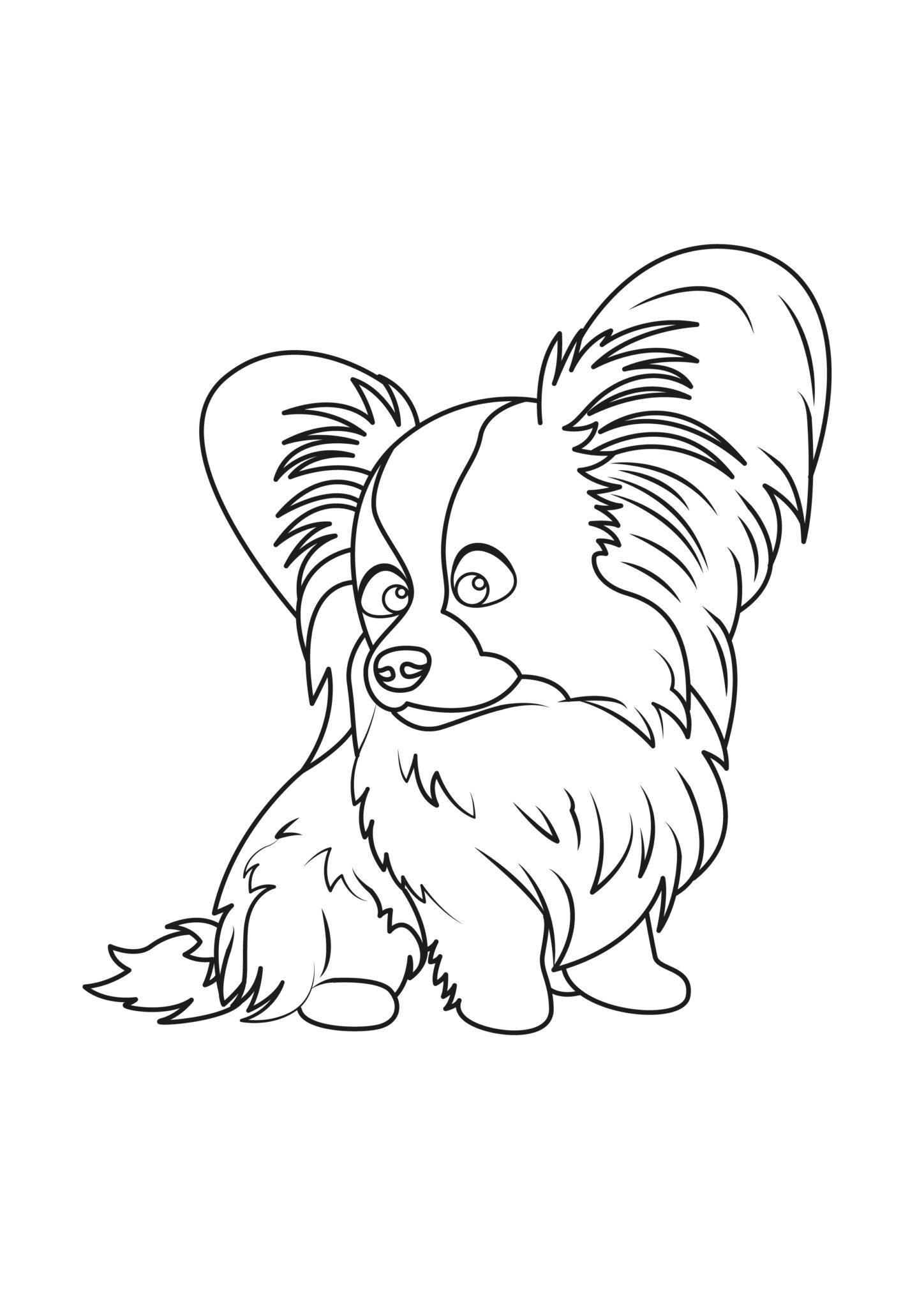 Papillon coloring pages coloringdraft
