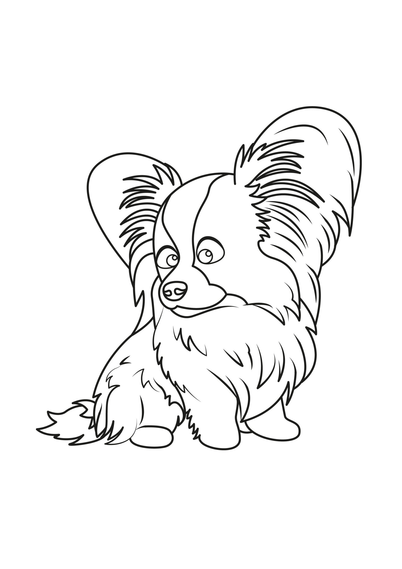Papillon Coloring Pages Papillon Coloring Pages