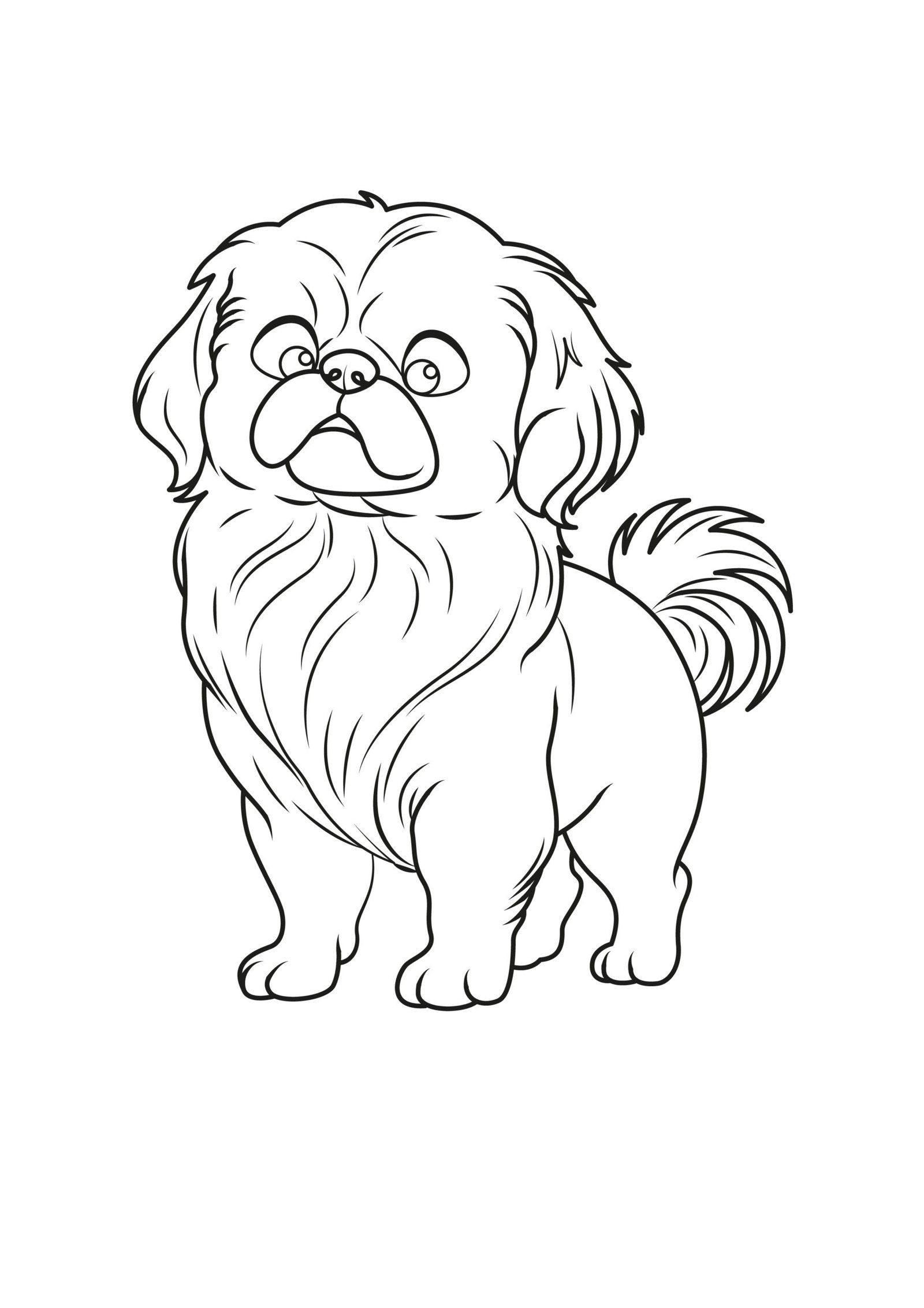 Pekingese Coloring Pages Pekingese Coloring Pages