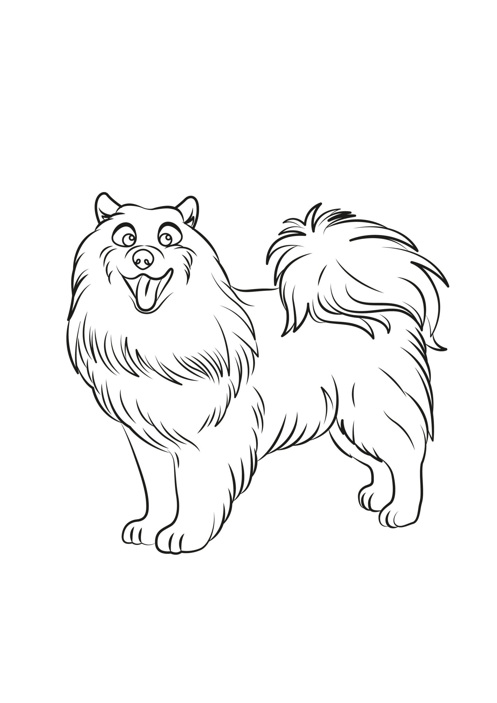 Samoyed Coloring Pages Samoyed Coloring Pages
