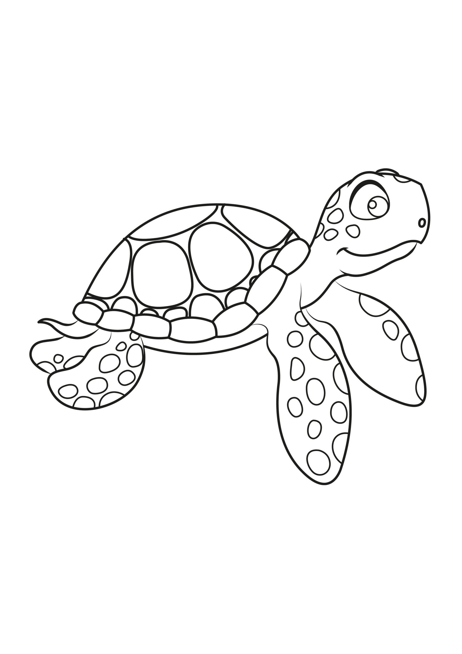 Sea Turtle Coloring Pages