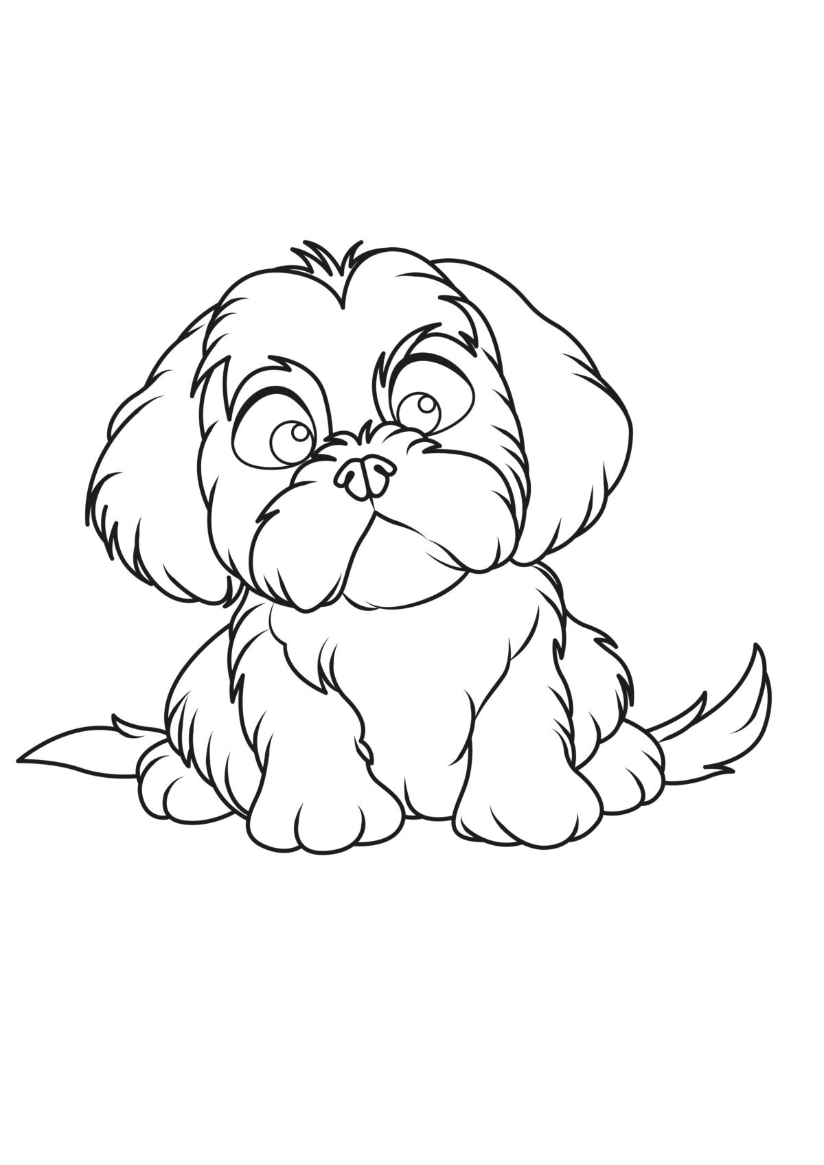 Shih Tzu Coloring Pages